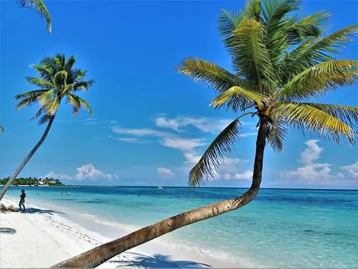 דירות Playa Del Carmen Real Lucerna, Remus II 0*,